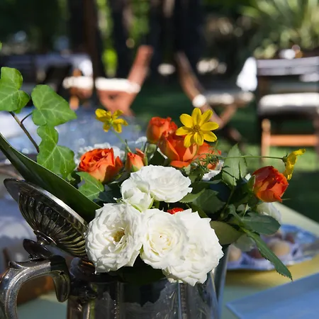 B&B Villa Ines-2